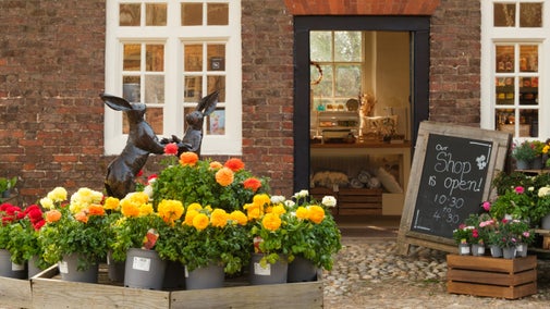 A view of the shop door with plants in the foreground at Ham House and Garden, London